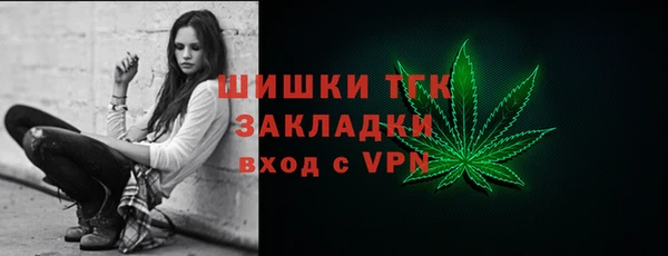 2c-b Богородицк