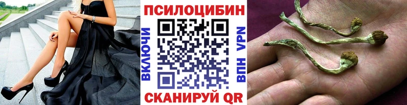 Купить где  Темрюк  Галлюциногенные грибы прущие грибы 